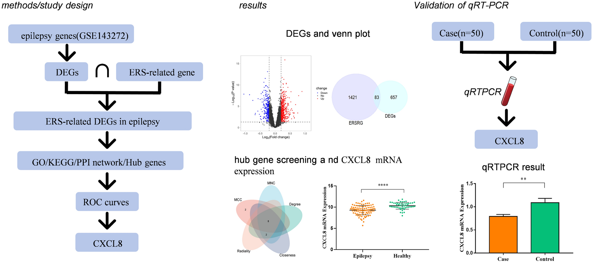 Screening, Analysis, and Validation of Endoplasmic Reticulum Stress-Related DEGs in Epilepsy