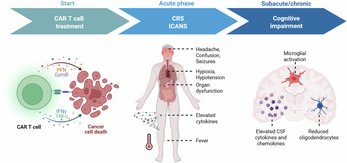 Long-term consequences of cancer therapy: cognitive impairment following CAR T cell therapy