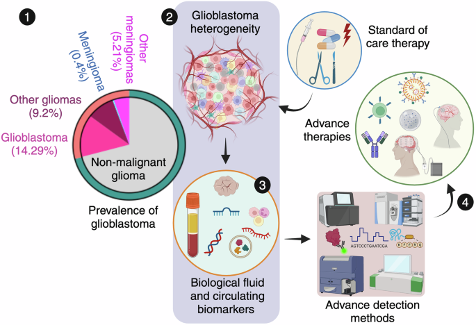 Glioblastoma at the crossroads: current understanding and future therapeutic horizons
