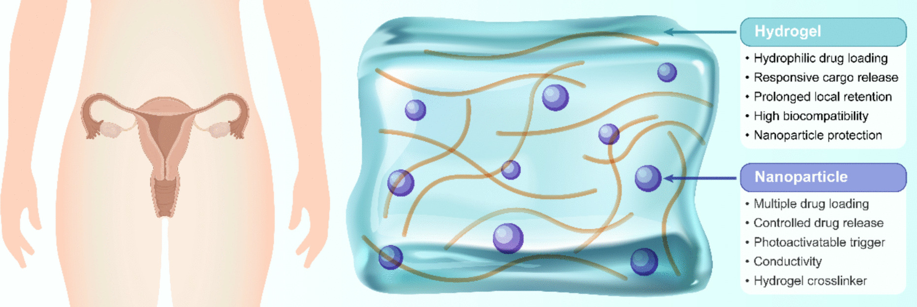 Advances in hybrid hydrogel design for biomedical applications: innovations in drug delivery and tissue engineering for gynecological cancers
