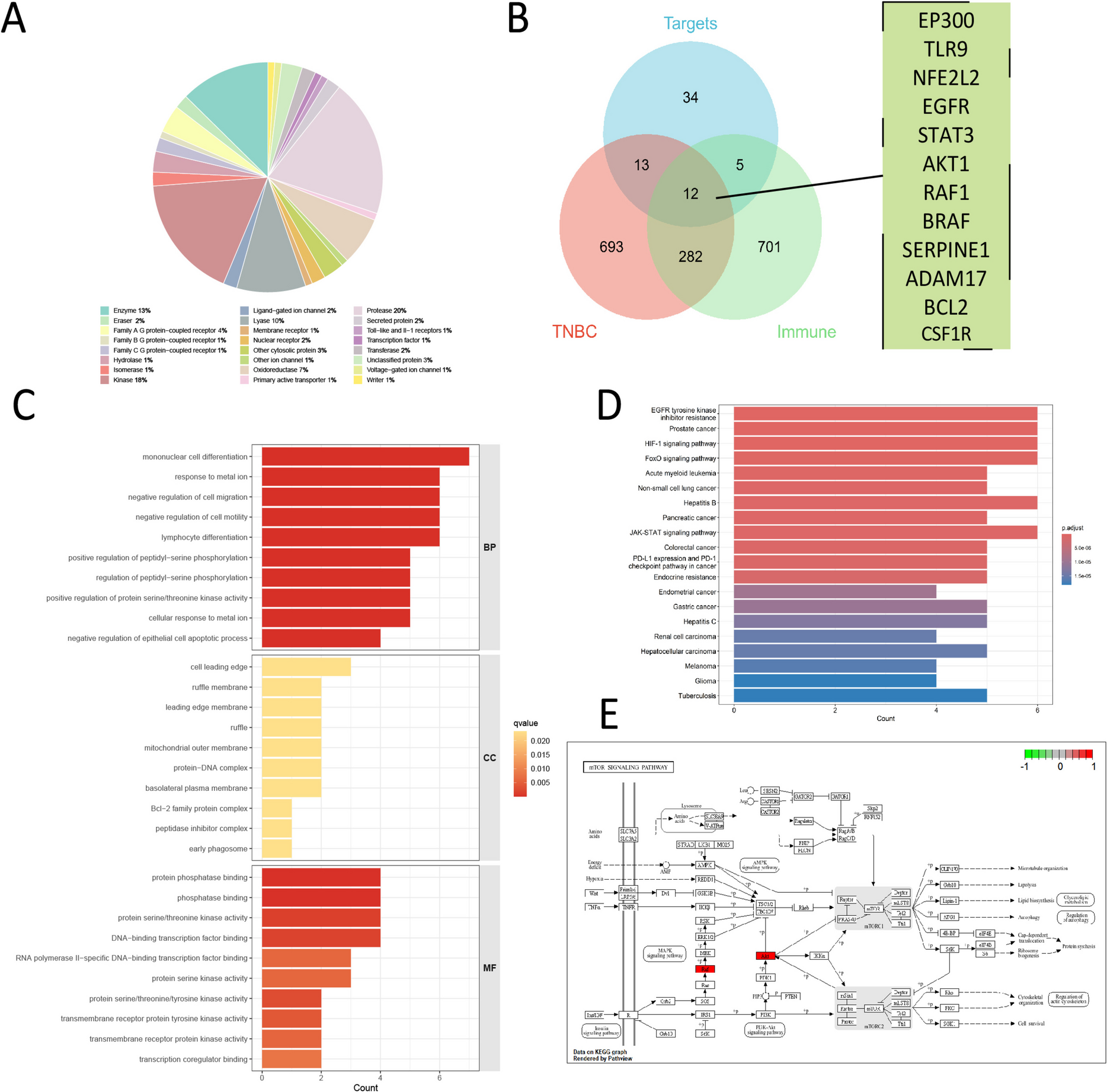 NGR-modified curcumin nanovesicles reverse immunotherapy resistance in triple-negative breast cancer via TLR9 and mTOR pathway modulation