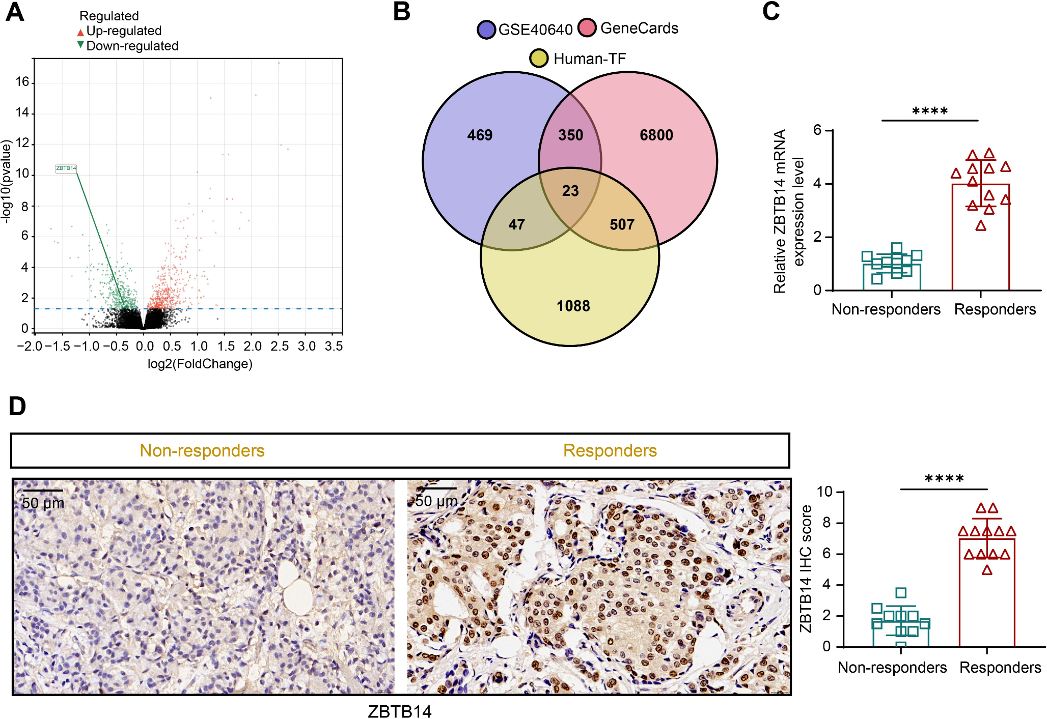 Transcription Impairment of TMEM208 by ZBTB14 Suppresses Breast cancer Radiotherapy Resistance