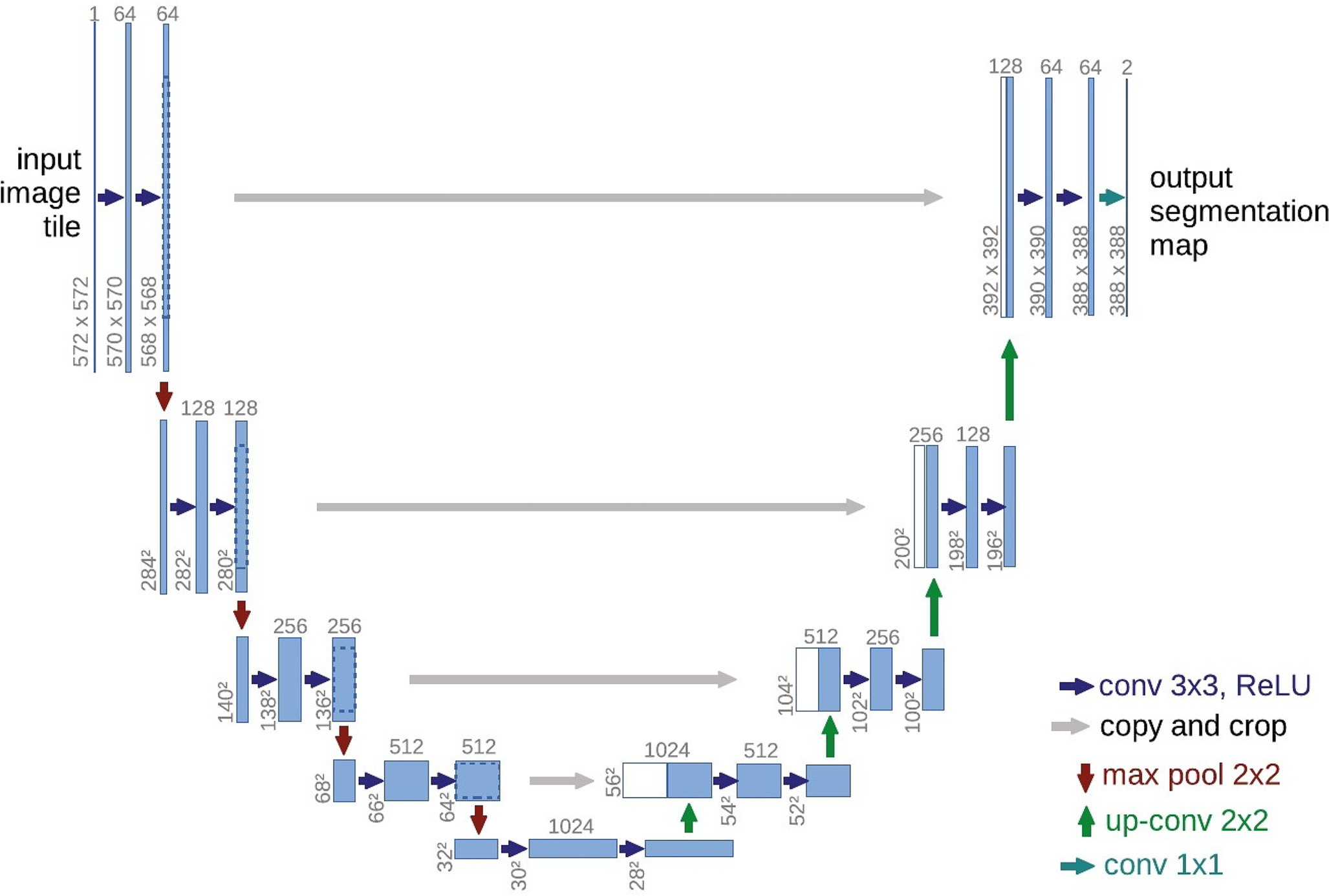 Dosimetric comparison of the BNCT treatment planning performances when using a nnU-NET to automatically segment Glioblastoma Multiforme