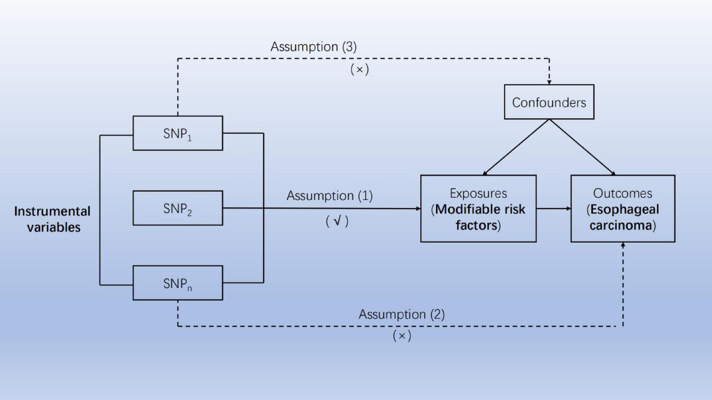 Causal association between modifiable risk factors and esophageal cancer: A Mendelian randomization study