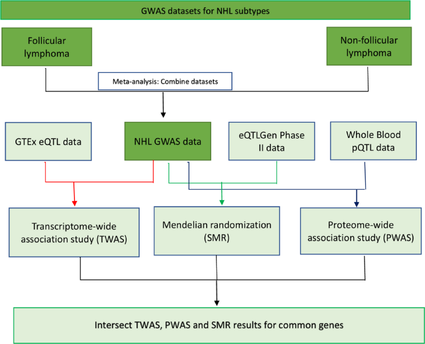 Integrative genomic analysis identifies novel causal genes of Hodgkin’s and non-Hodgkin’s lymphoma