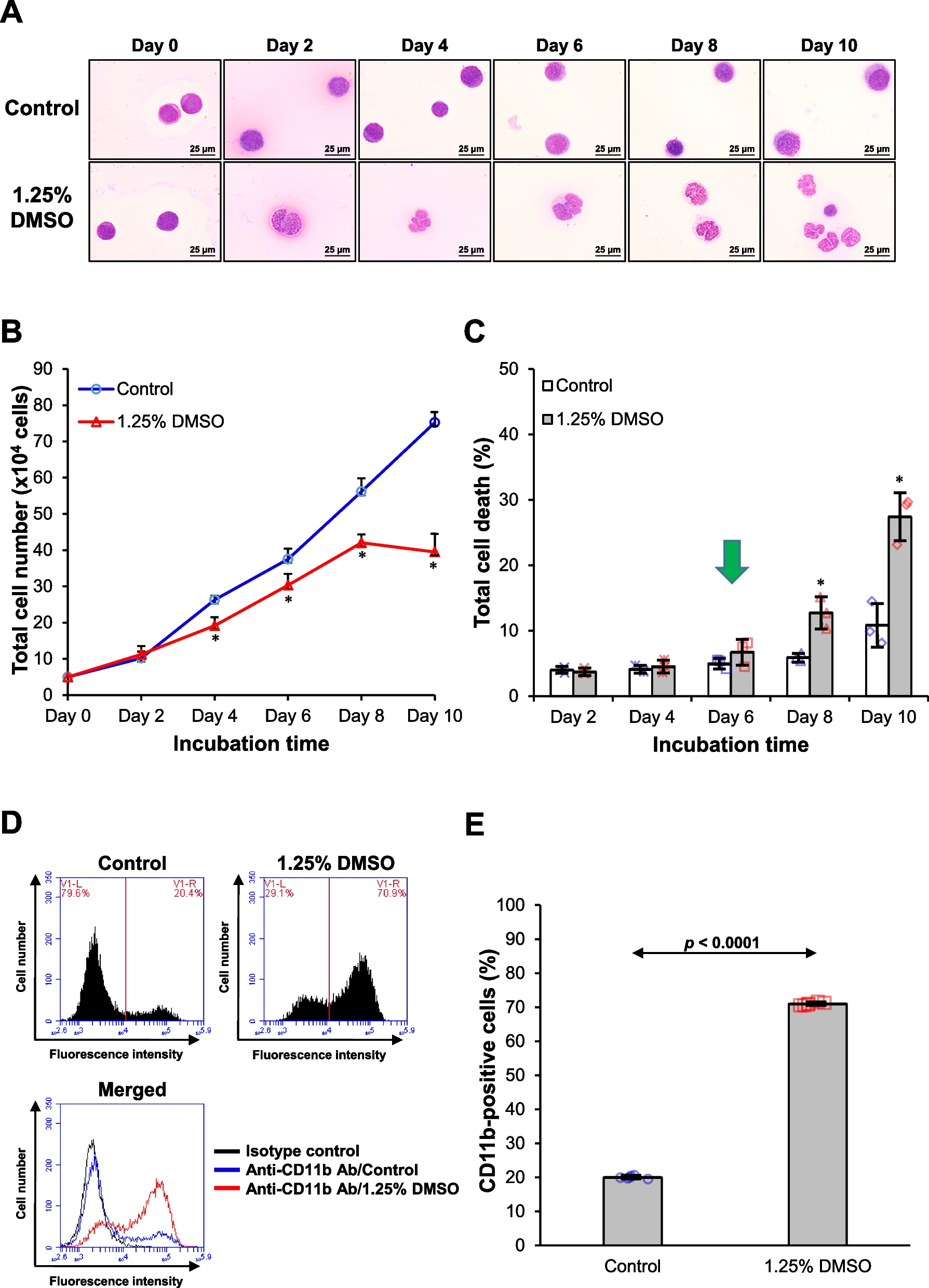 Effects of calcium oxalate crystals on neutrophil cellular proteome and functions: implications for nephrolithiasis