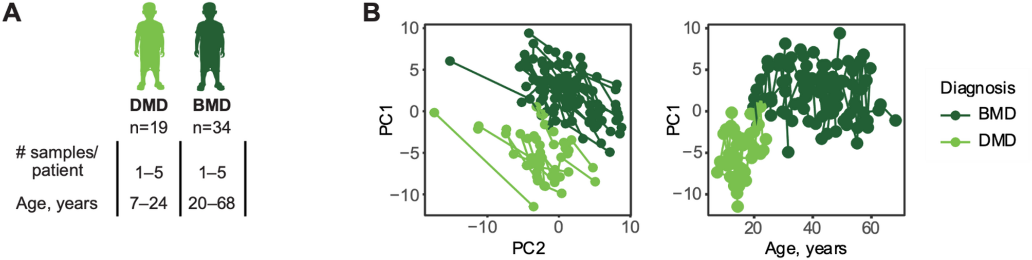 Contrasting Becker and Duchenne muscular dystrophy serum biomarker candidates by using data independent acquisition LC-MS/MS