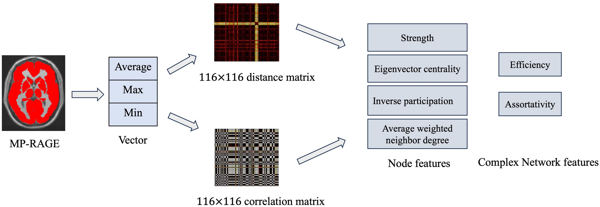 Vision transformer and complex network analysis for autism spectrum disorder classification in T1 structural MRI