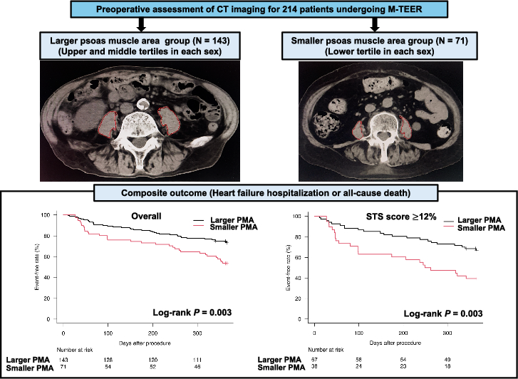 The prognostic value of small psoas muscle area in patients undergoing mitral transcatheter edge-to-edge repair