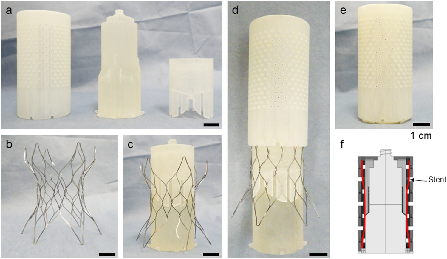 Development of transcatheter implantable autologous tissue-engineered pulmonary valves using in-body tissue architecture