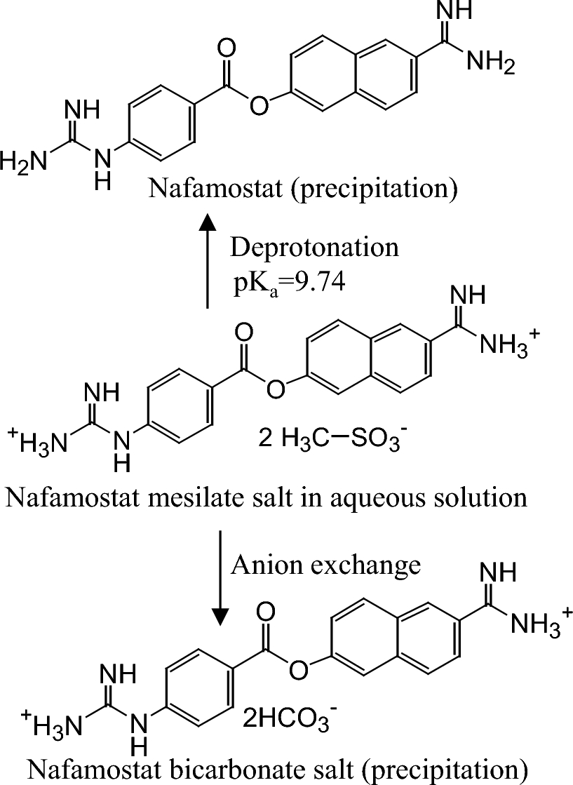 Elucidation of the mechanism of precipitate formation on mixing nafamostat mesylate solution with dialysate