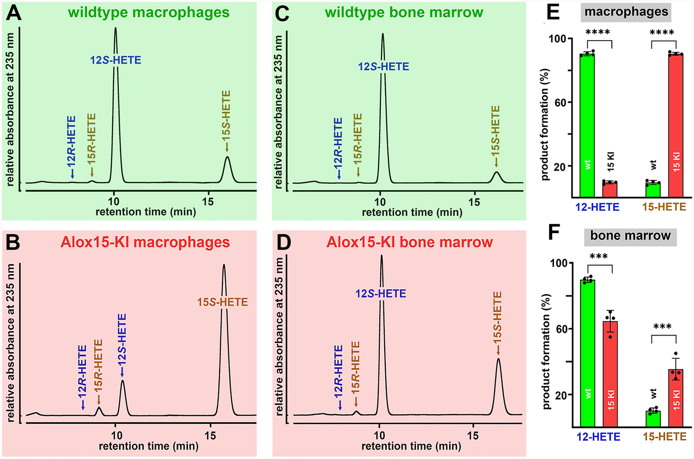 Functional humanization of 15-lipoxygenase-1 (Alox15) protects mice from dextran sodium sulfate induced intestinal inflammation