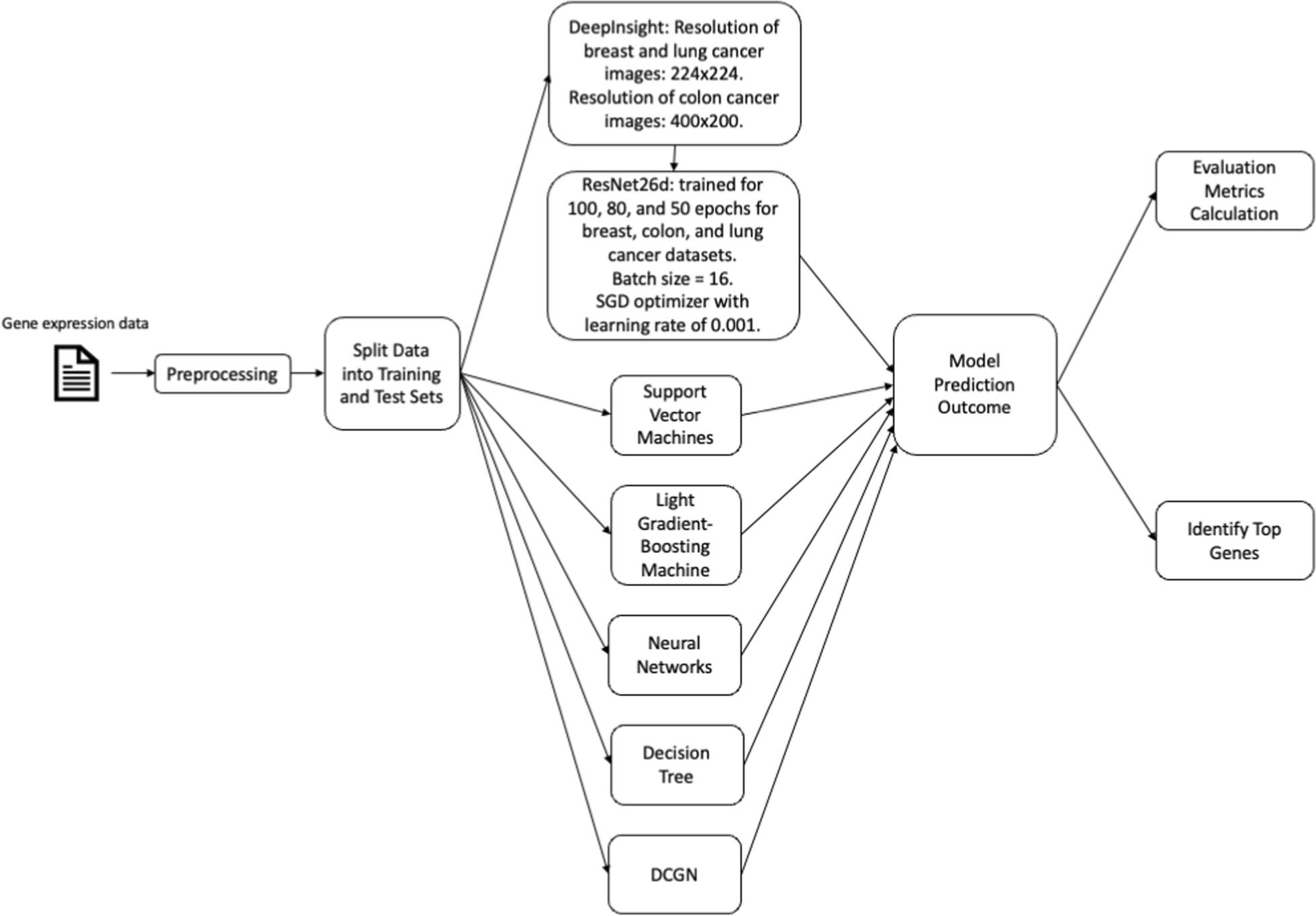 Enhancing cancer subtype classification through convolutional neural networks: a deepinsight analysis of TCGA gene expression data