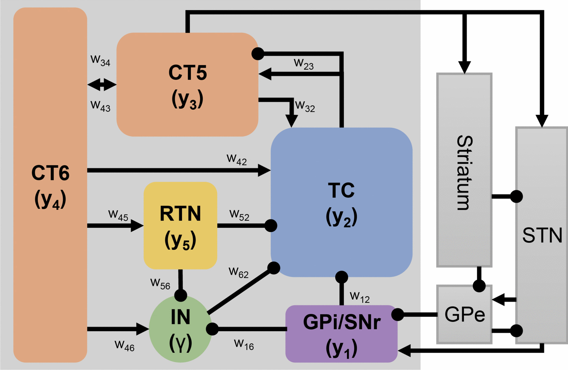 Modeling characteristics of neuronal firing in the thalamocortical network of connections in control and parkinsonian primates