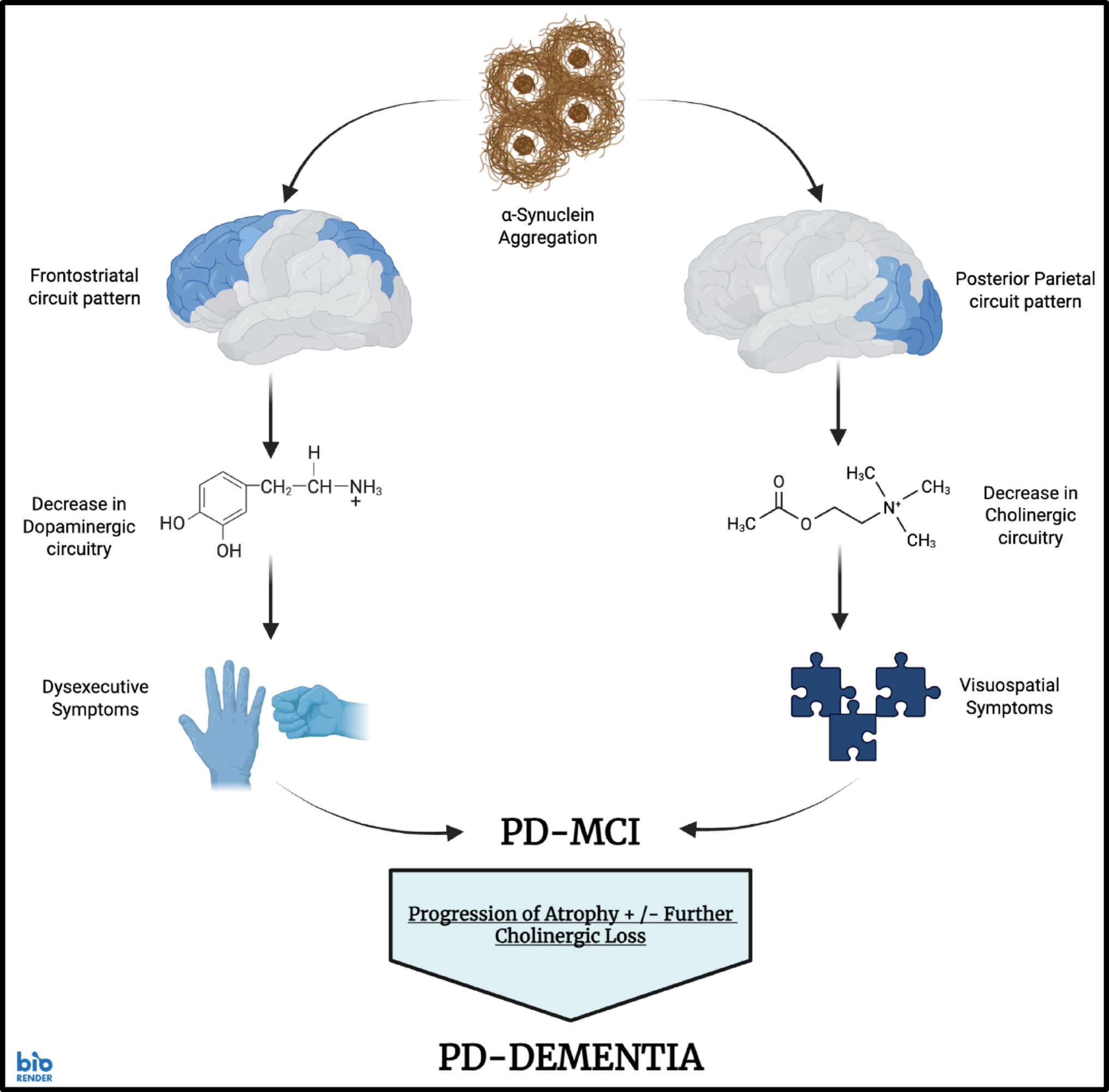 Cognitive disorders and parkinson’s disease: a literature review