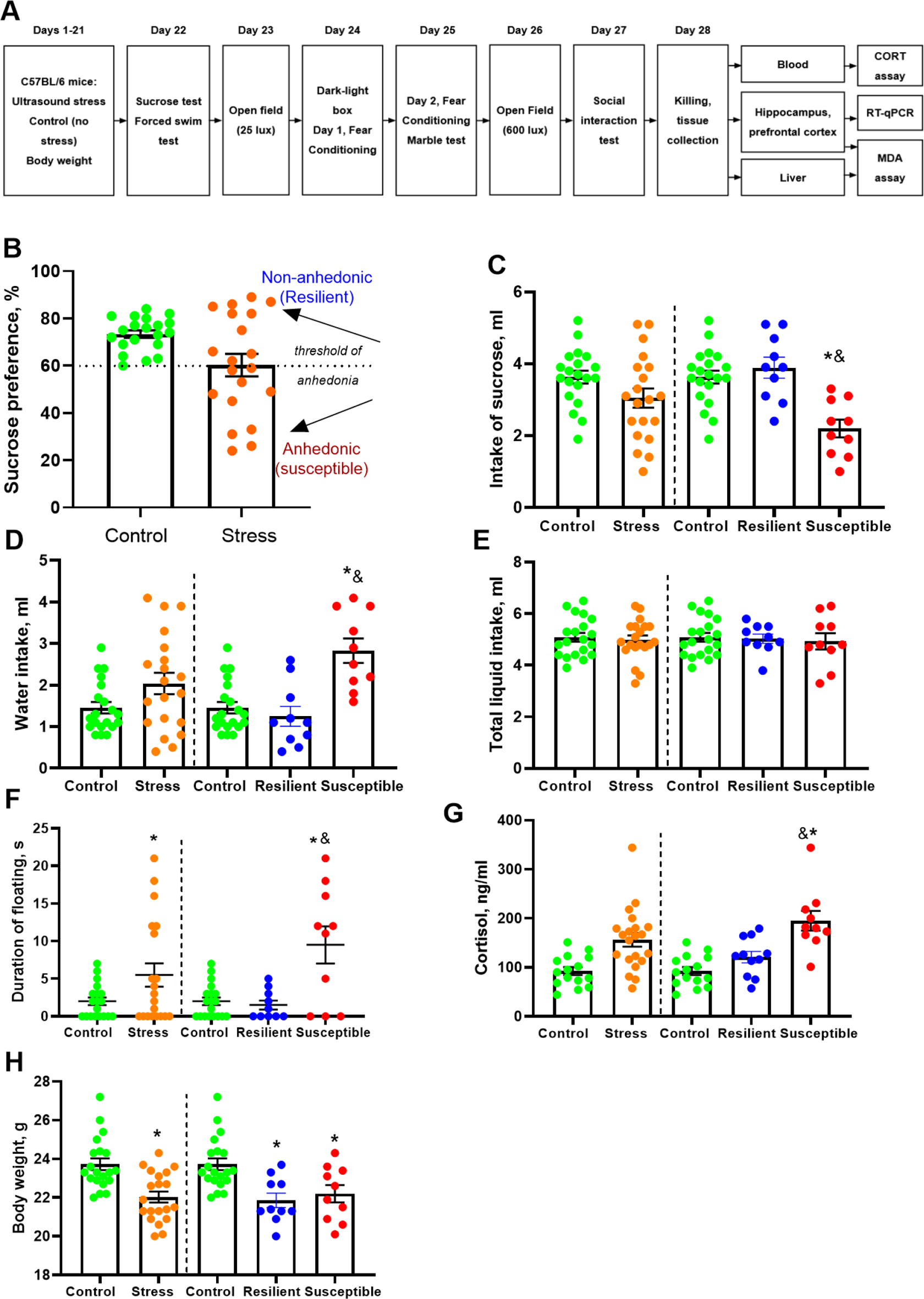 From stress to anhedonia: differential gene expression, behavioural and biochemical modulations in resilient versus susceptible mice in an ultrasound model of juvenile depression