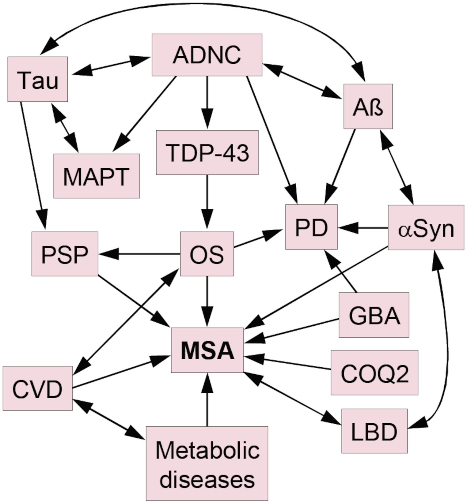 Comorbid pathologies and their impact on multiple system atrophy: current view
