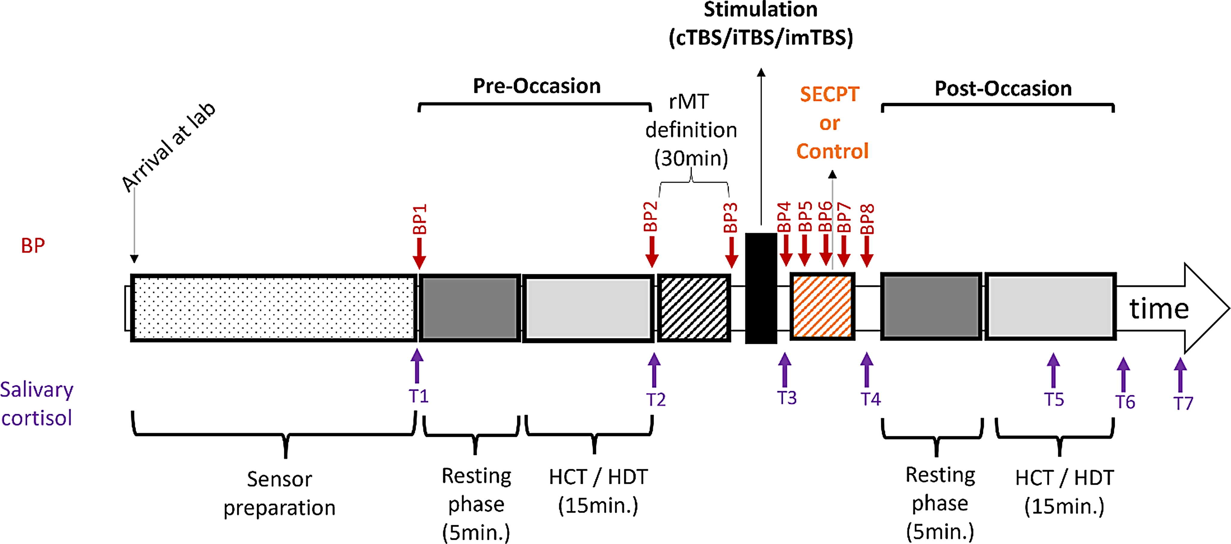 Stress enhances heartbeat-evoked potentials, independent of continuous or intermittent theta burst stimulation of the interoceptive brain network targeting the right supramarginal gyrus: a preliminary study