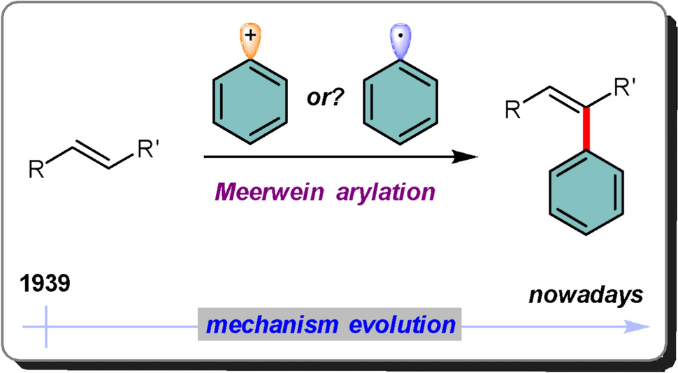 Arylation of C=C bonds via non-cross-coupling reactions: historical evolution of the Meerwein arylation mechanisms