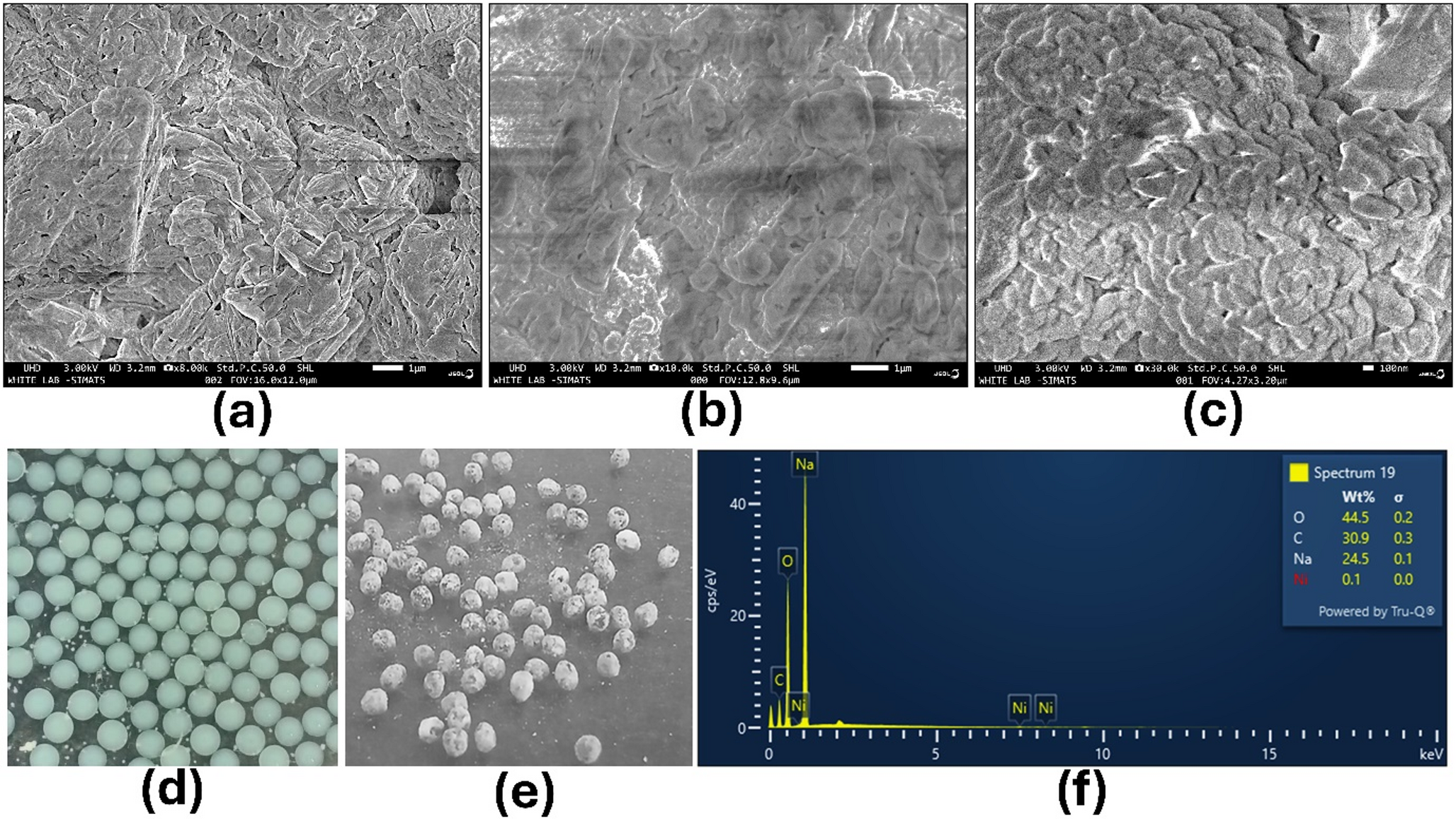 Development of Novel CS/PV/Ni/SCE Combination Hydrogel and Evaluation of their Potential in Drug Delivery and Tissue Regeneration Application