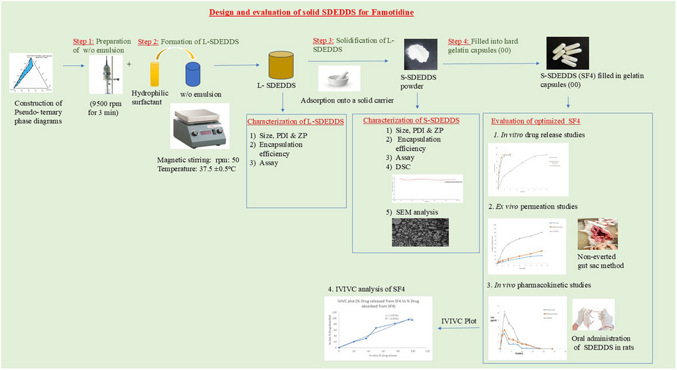 Famotidine—A BCS Class III Drug: Design, Development, and Evaluation of a Stable Solid SDEDDS Formulation to Improve Permeation and Oral Bioavailability