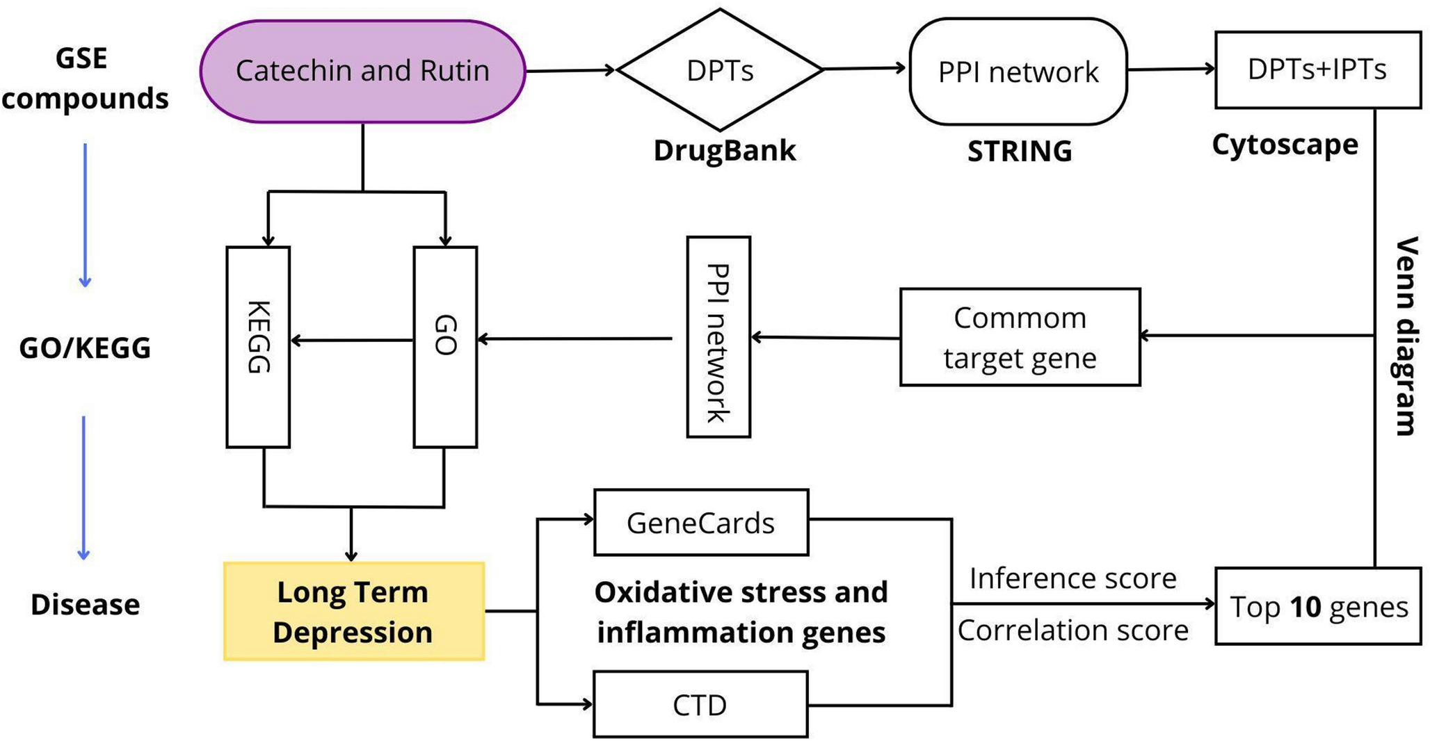 Exploring the Anti-Inflammatory Effects of Grape Seed Extract on Depressive Disorder: A Preclinical and Network Pharmacology Approach