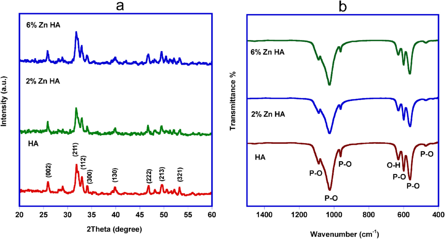 Promising Alginate-Gelatin Scaffolds Containing 5-Fluorouracil and Reinforced with Zinc-Modified Hydroxyapatite: Cell Attachment and One-Year Stability Study