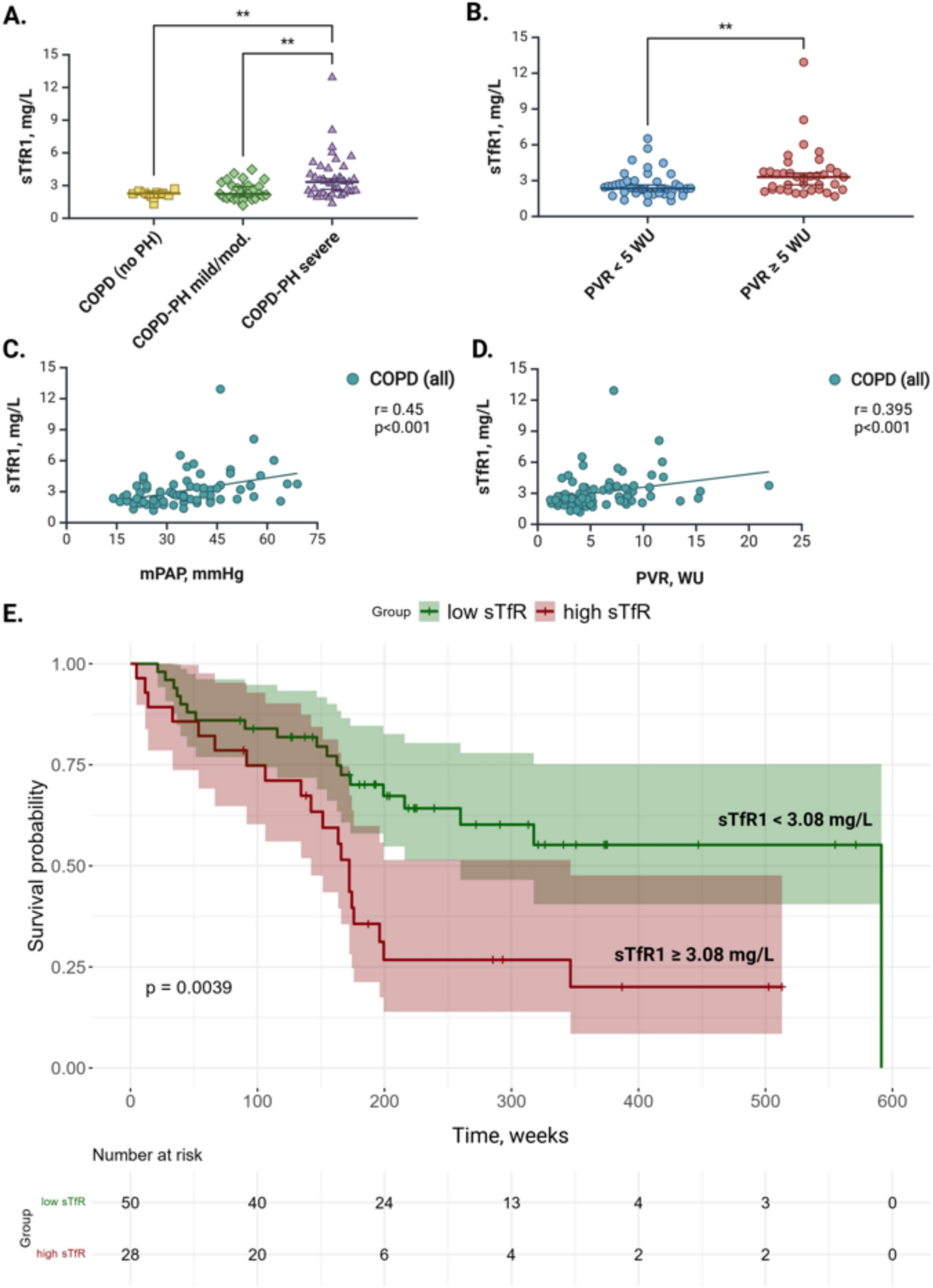 Soluble Transferrin Receptor-1 in Pulmonary Hypertension Associated with COPD