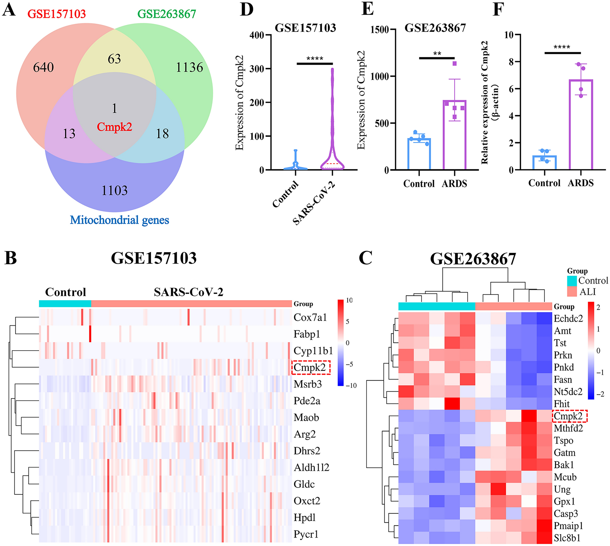 Cmpk2 Protects Against Acute Lung Injury in Mice