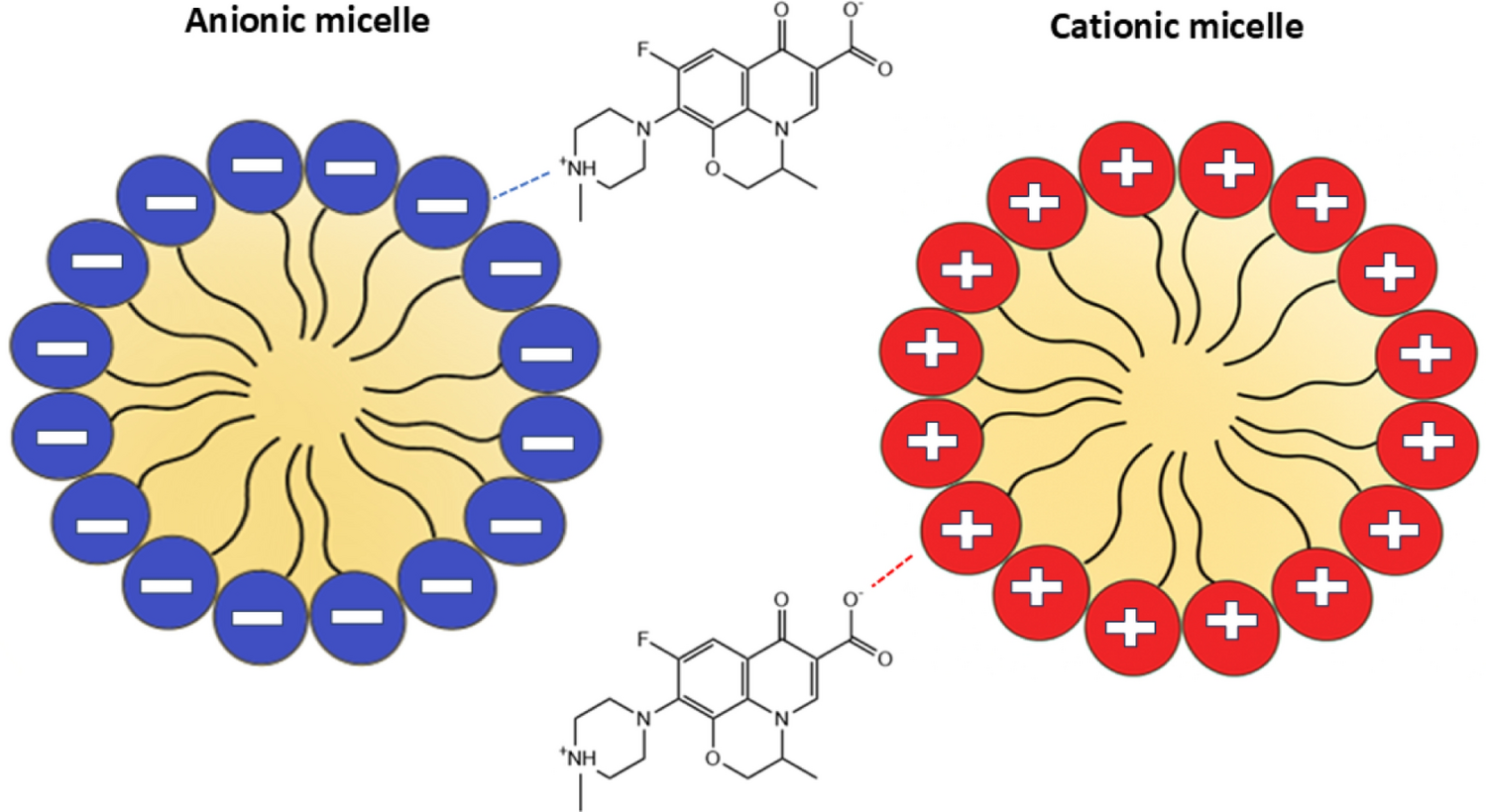 Molecular Insights into Interactions between Ofloxacin and Ionic Micelles