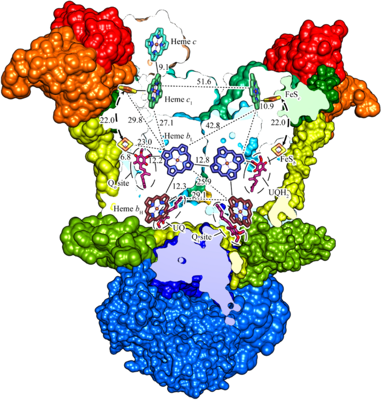 Therapeutic exploration of novel reactive oxygen species-mediated anti-cancer mechanism by modulating electron transfer in respiratory complex III