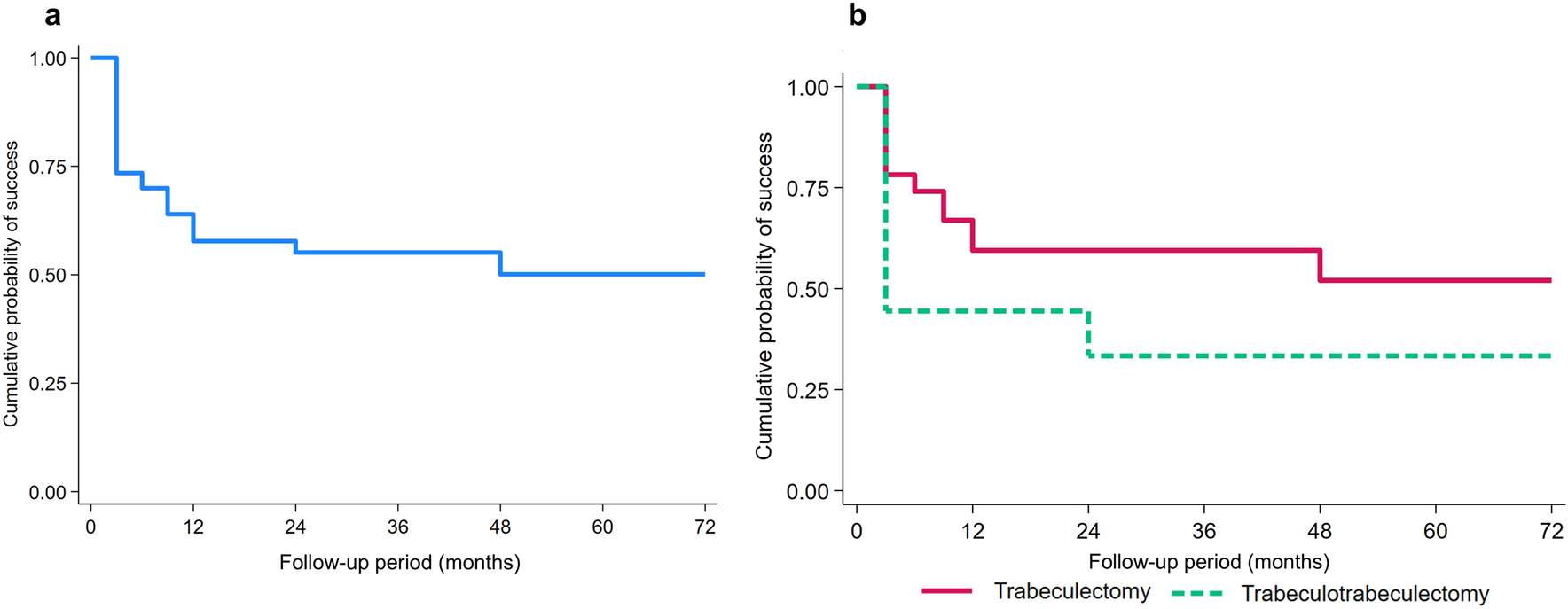 Surgical outcomes of primary filtering surgery in secondary childhood glaucoma patients: a retrospective cohort study