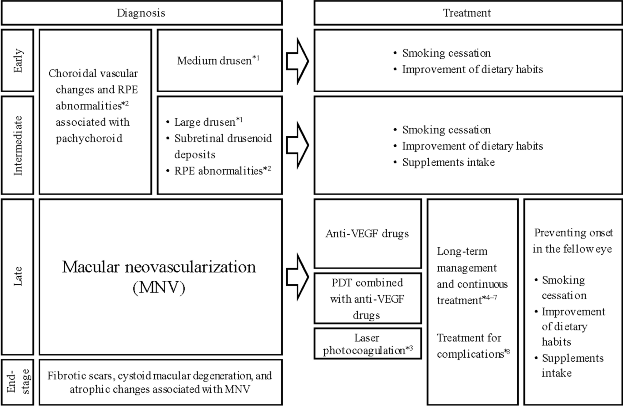 Japanese clinical guidelines for neovascular age-related macular degeneration