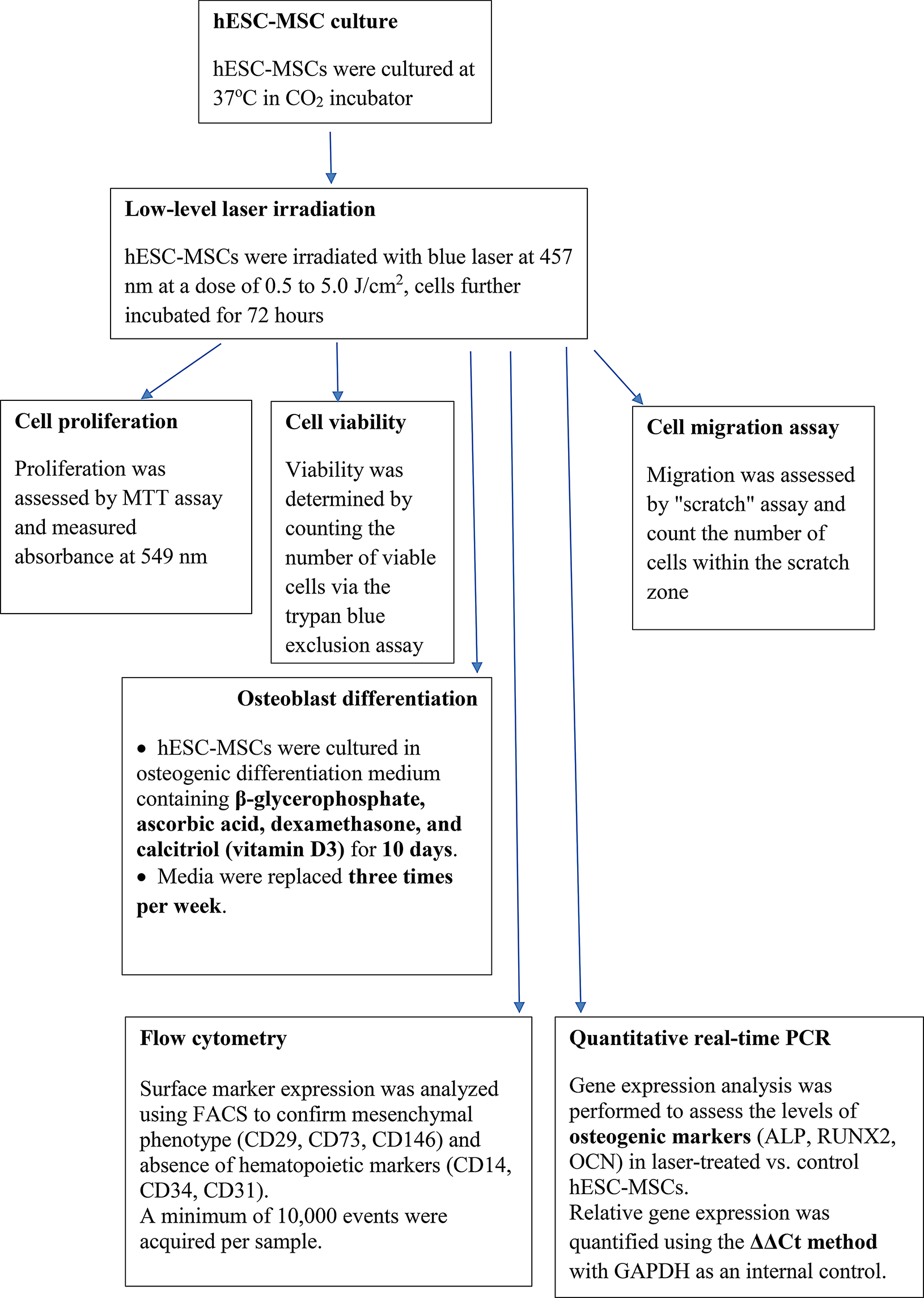 Boosting osteoblast differentiation: enhancing the effects of low-level blue laser therapy on human embryonic stem cell-derived mesenchymal stem cells to improve viability and calcium deposition