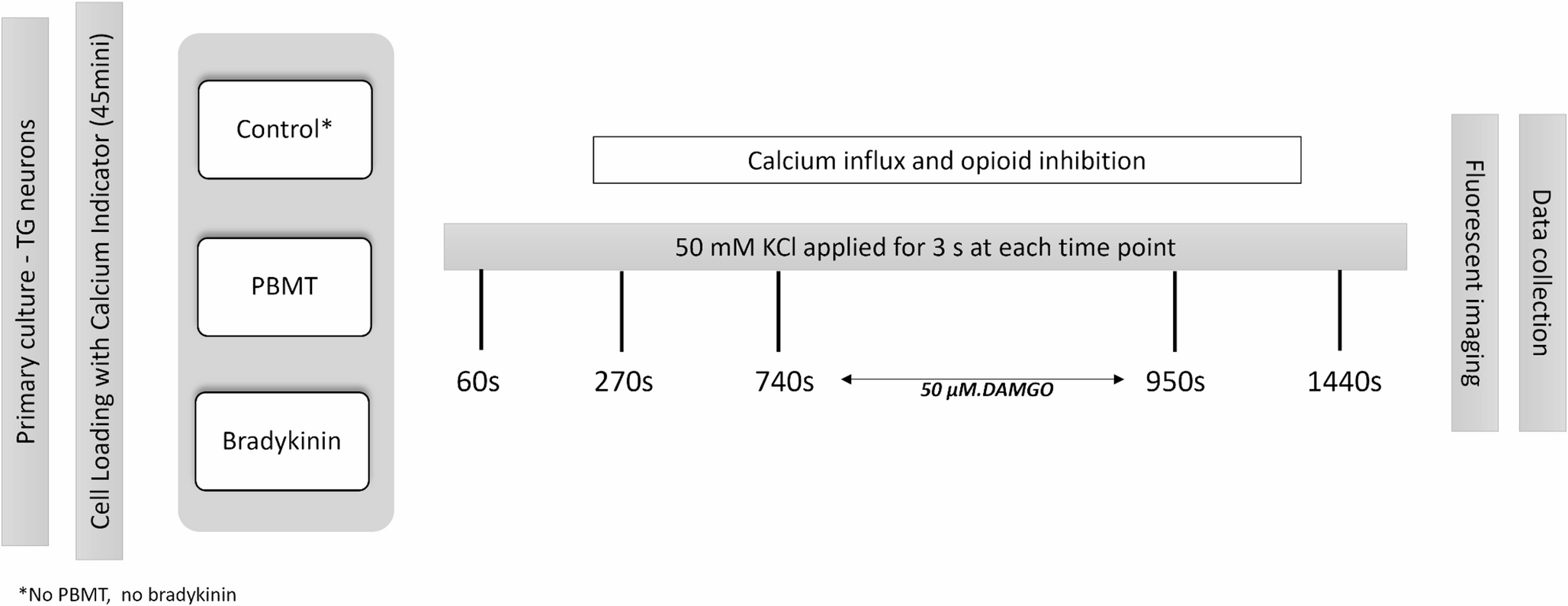 Neuronal cells’ calcium influx modulates in response to 940 nm laser irradiation