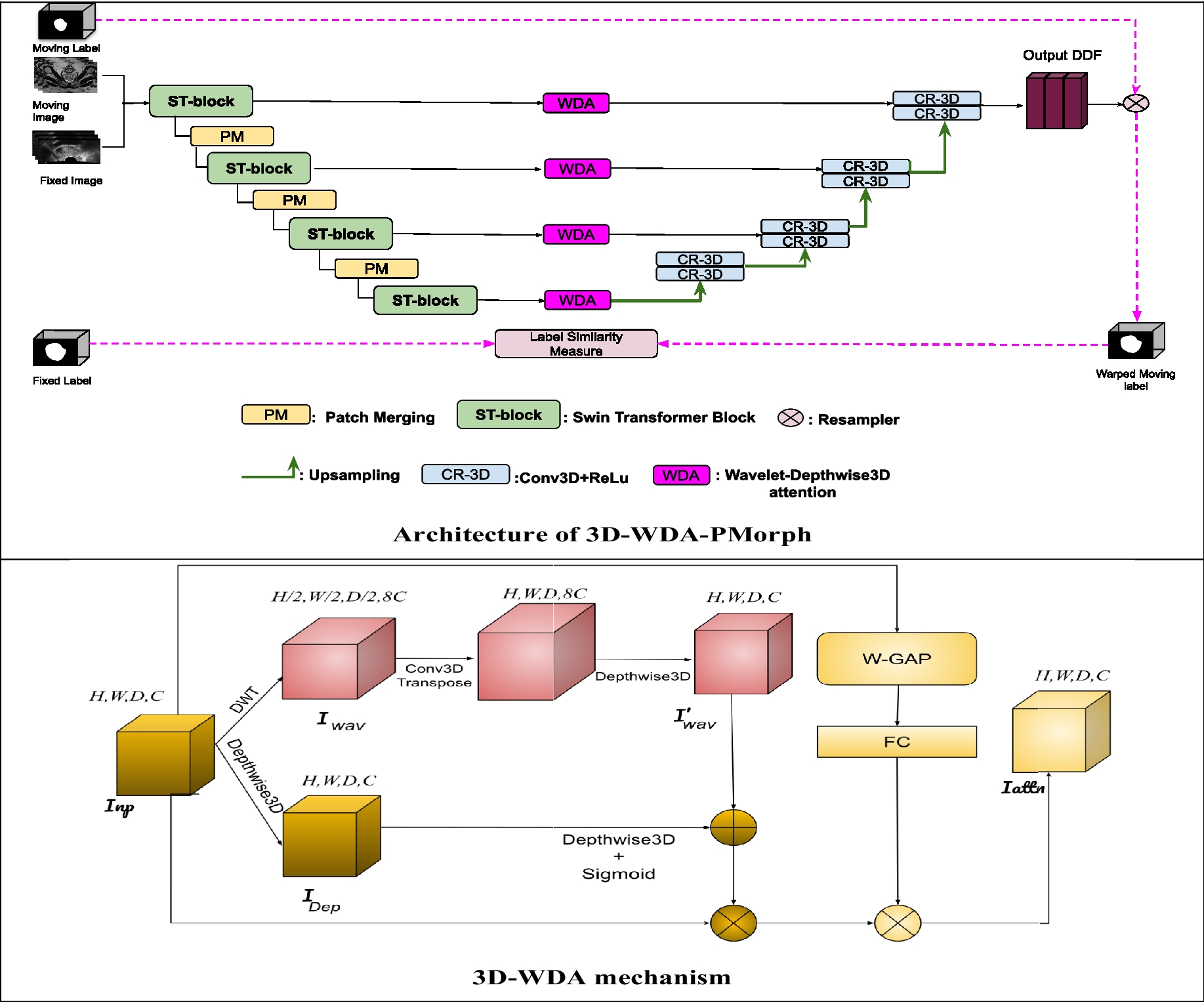 3D-WDA-PMorph: Efficient 3D MRI/TRUS Prostate Registration using Transformer-CNN Network and Wavelet-3D-Depthwise-Attention