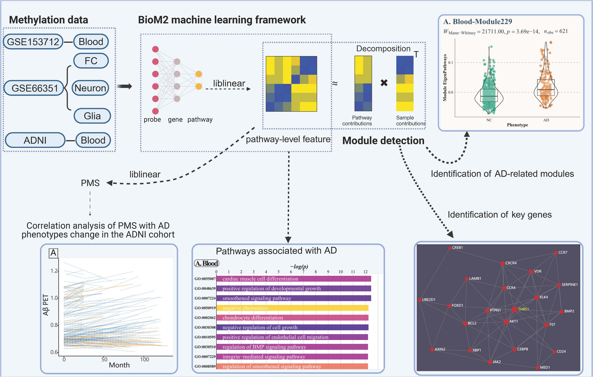 Multi-tissue Methylation Analysis of Alzheimer’s Disease: Insights into Pathways, Modules, and Key Genes