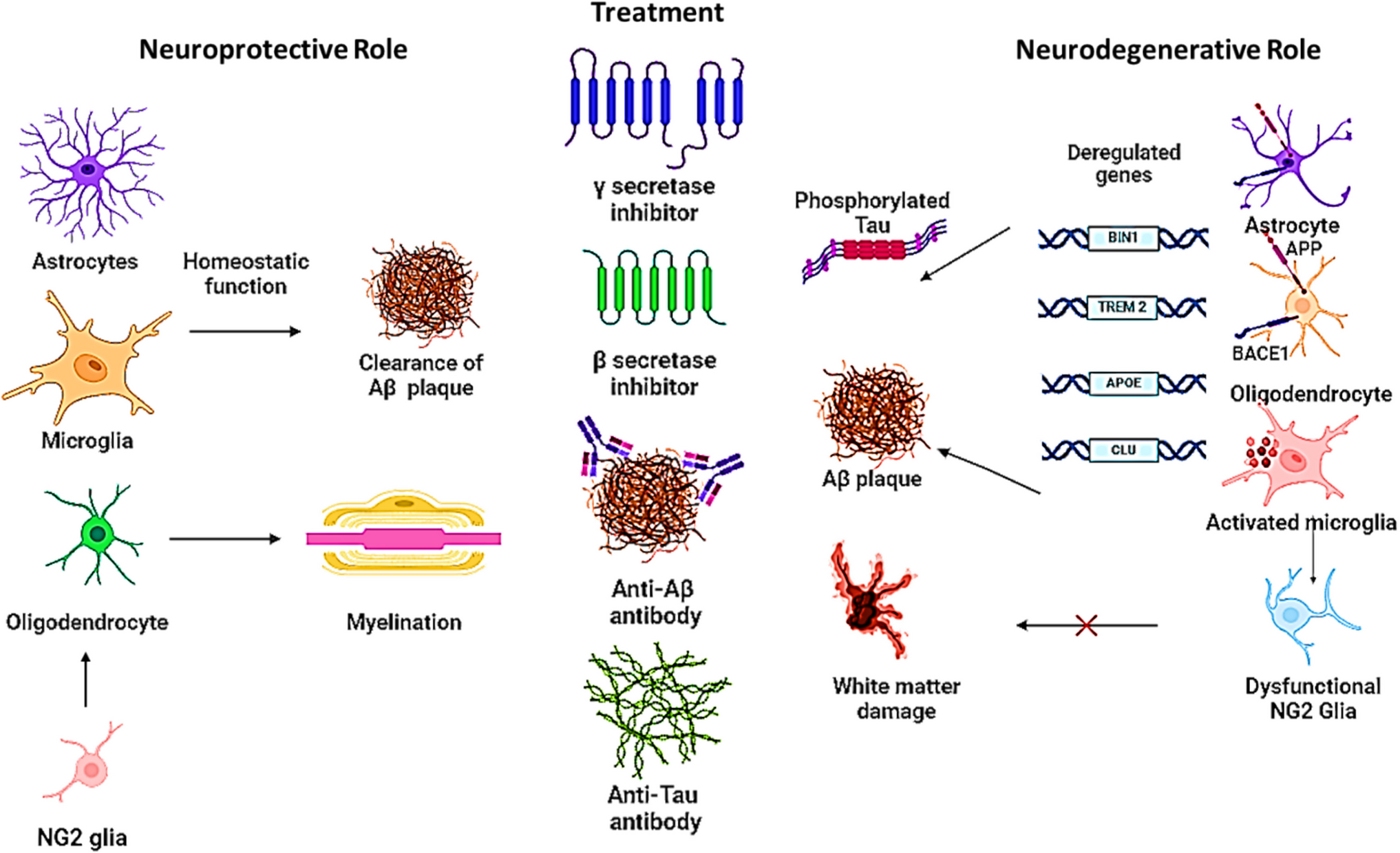 Glial Cells in Alzheimer’s Disease: Pathogenic Mechanisms and Therapeutic Frontiers