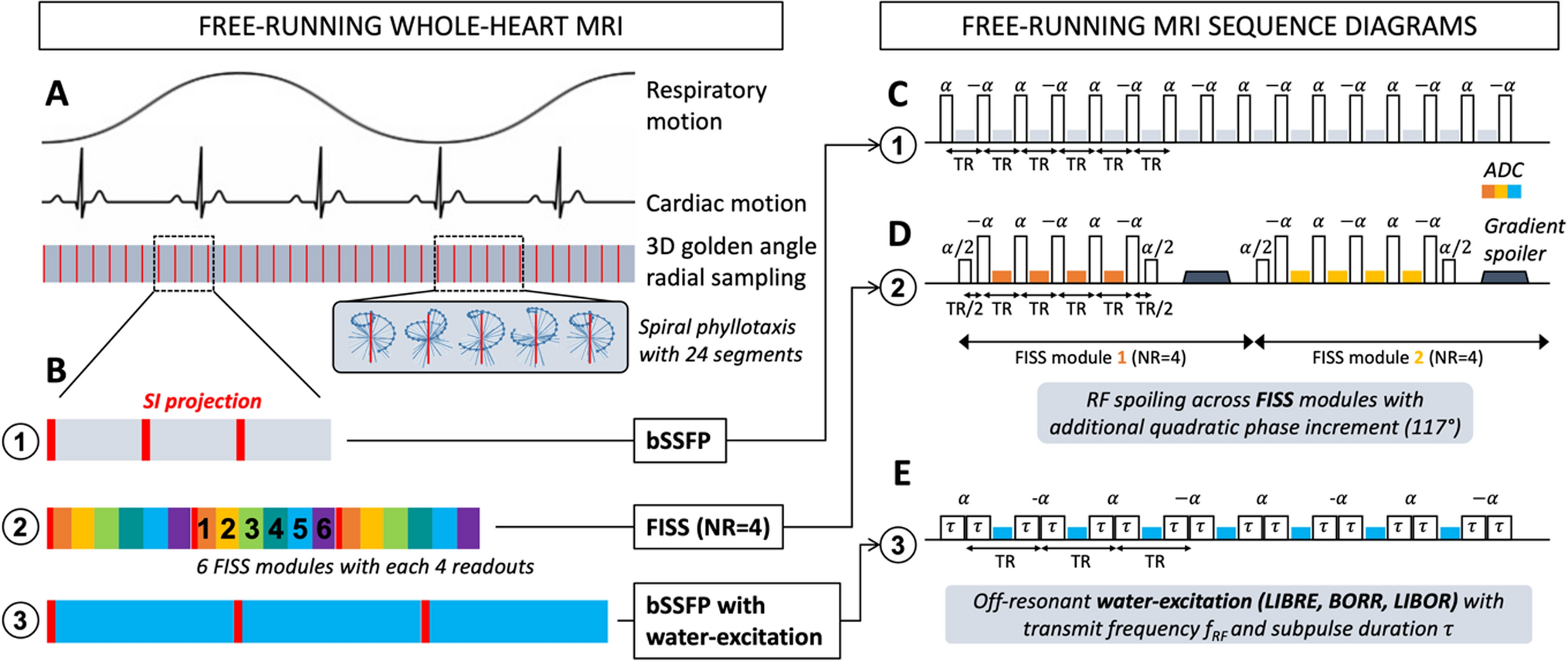Comparison between fast-interrupted steady-state (FISS) and rapid water-excitation pulses for fat signal suppression in free-running whole-heart MRI at 1.5 T