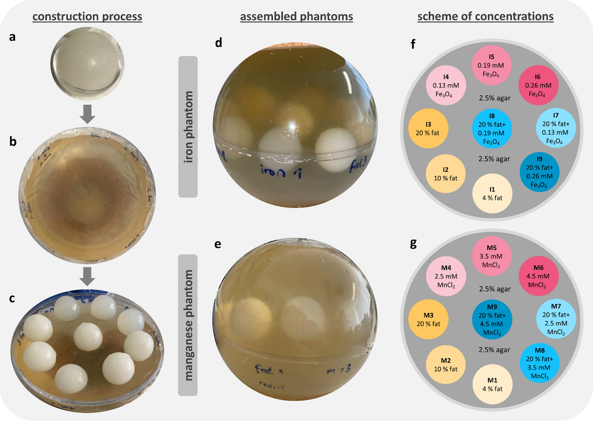 A dedicated phantom for exploring the interplay of fat and paramagnetic substances in quantitative susceptibility mapping