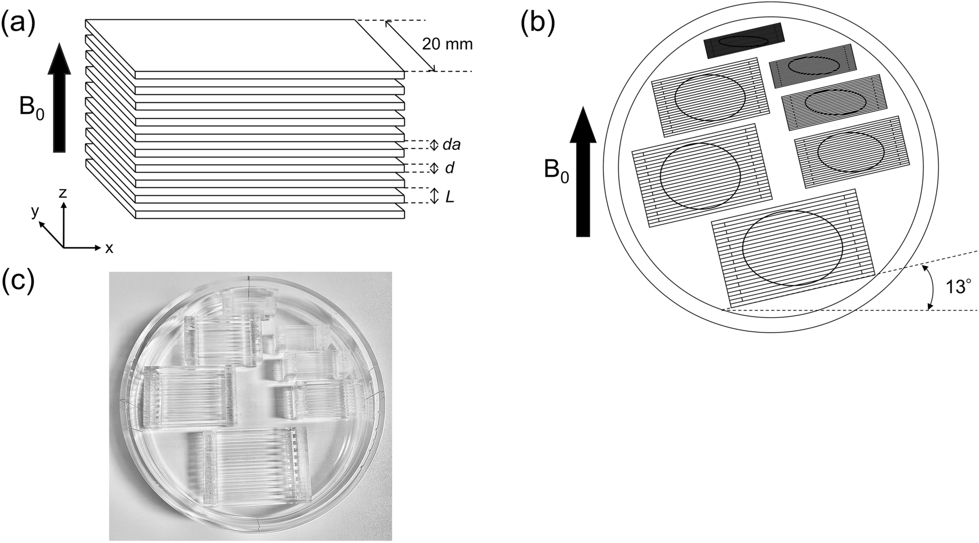 Evaluating spatial resolution in prostate MR images: the utility of the ladder method