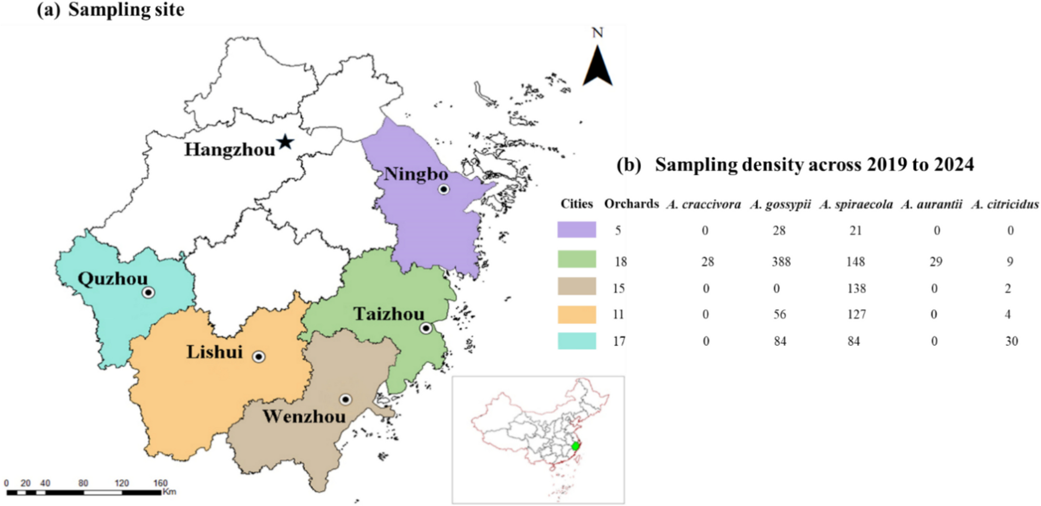 Investigating the Citrus Aphid Species in Zhejiang, China: Morphometric Analysis and Genetic Distinctions