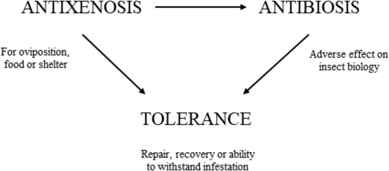 Host Plant Resistance: Is It Time for a New Model?