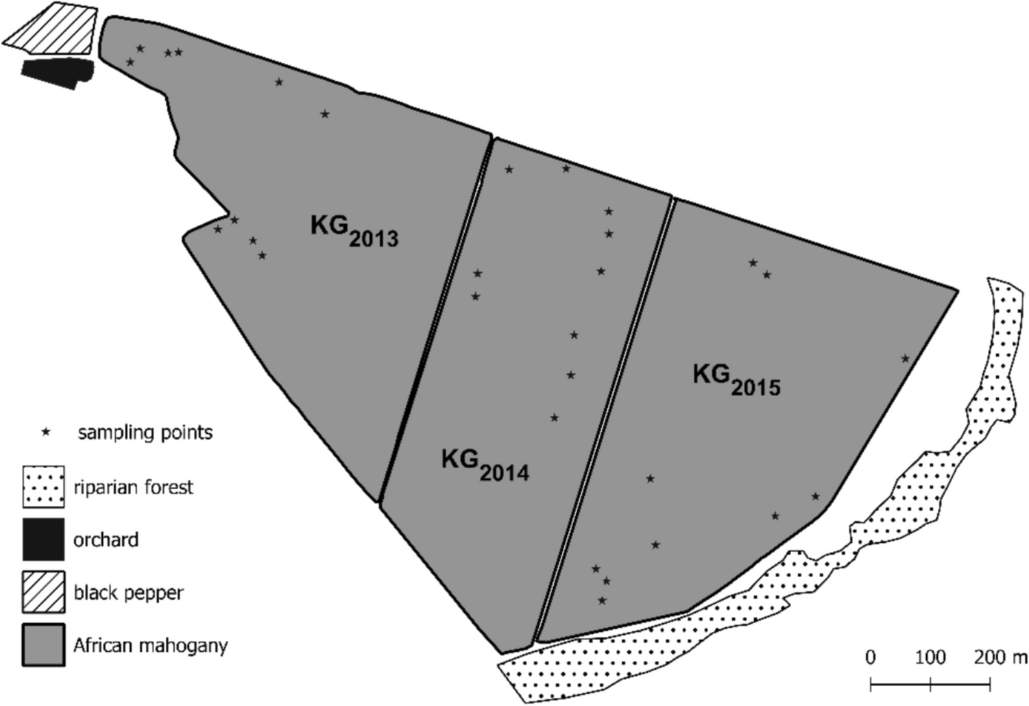 A New Potential Pest Strikes from the Depths of the Earth: Cicadas in African Mahogany in Brazil
