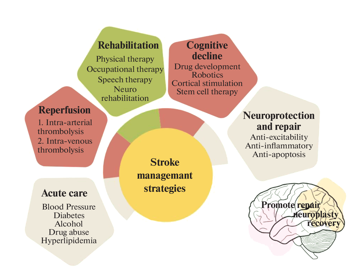 Neuroprotective Effects of Curcumin in Acute Ischemic Stroke: Insights of Preclinical and Clinical Studies