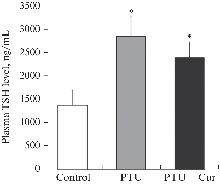 Ameliorative Effect of Curcumin on Long-Term Potentiation Impaired in Adult-Onset Hypothyroidism