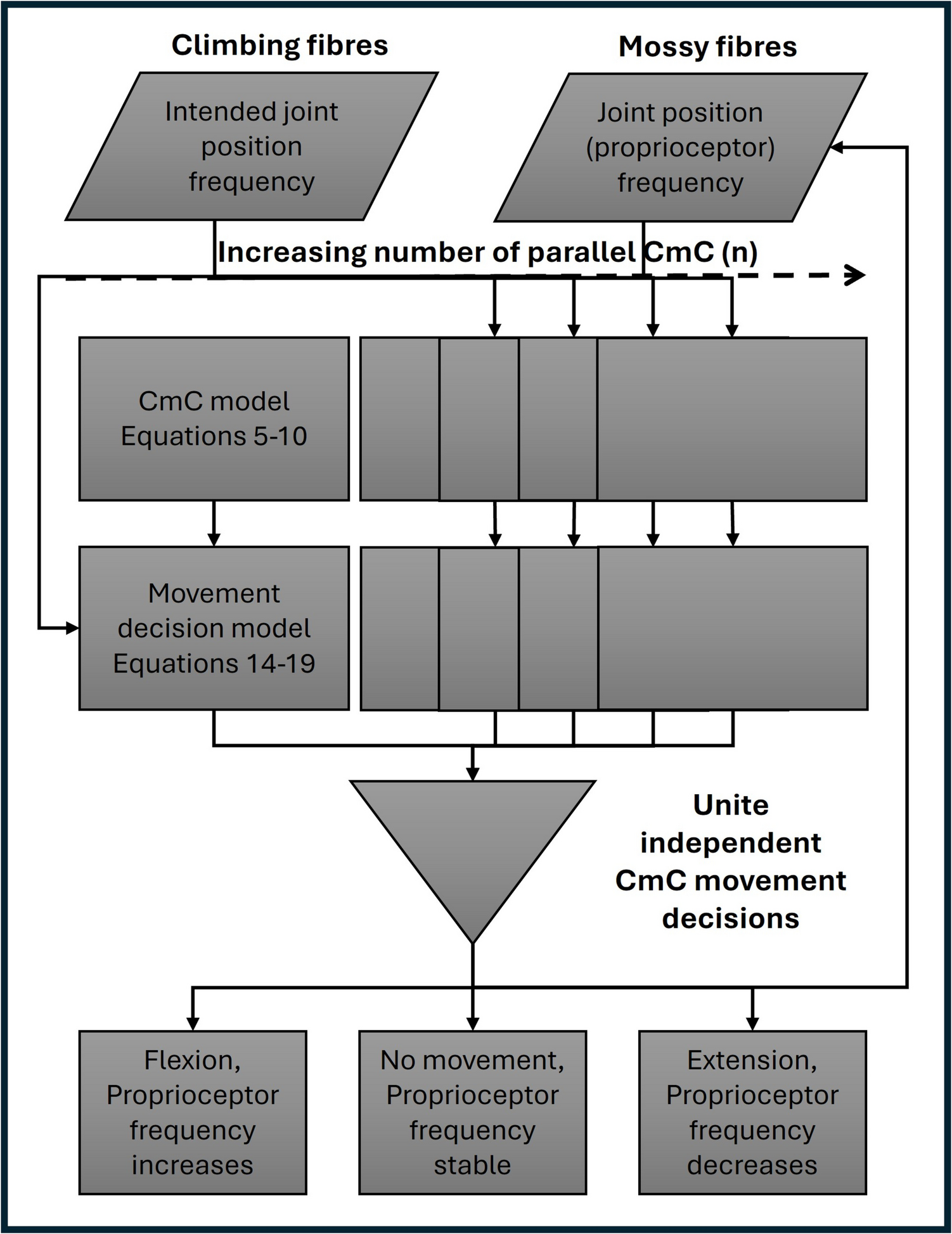 Cerebellar Micro Complex Model Using Histologic Boolean Mapping Simulates Adaptive Motor Control