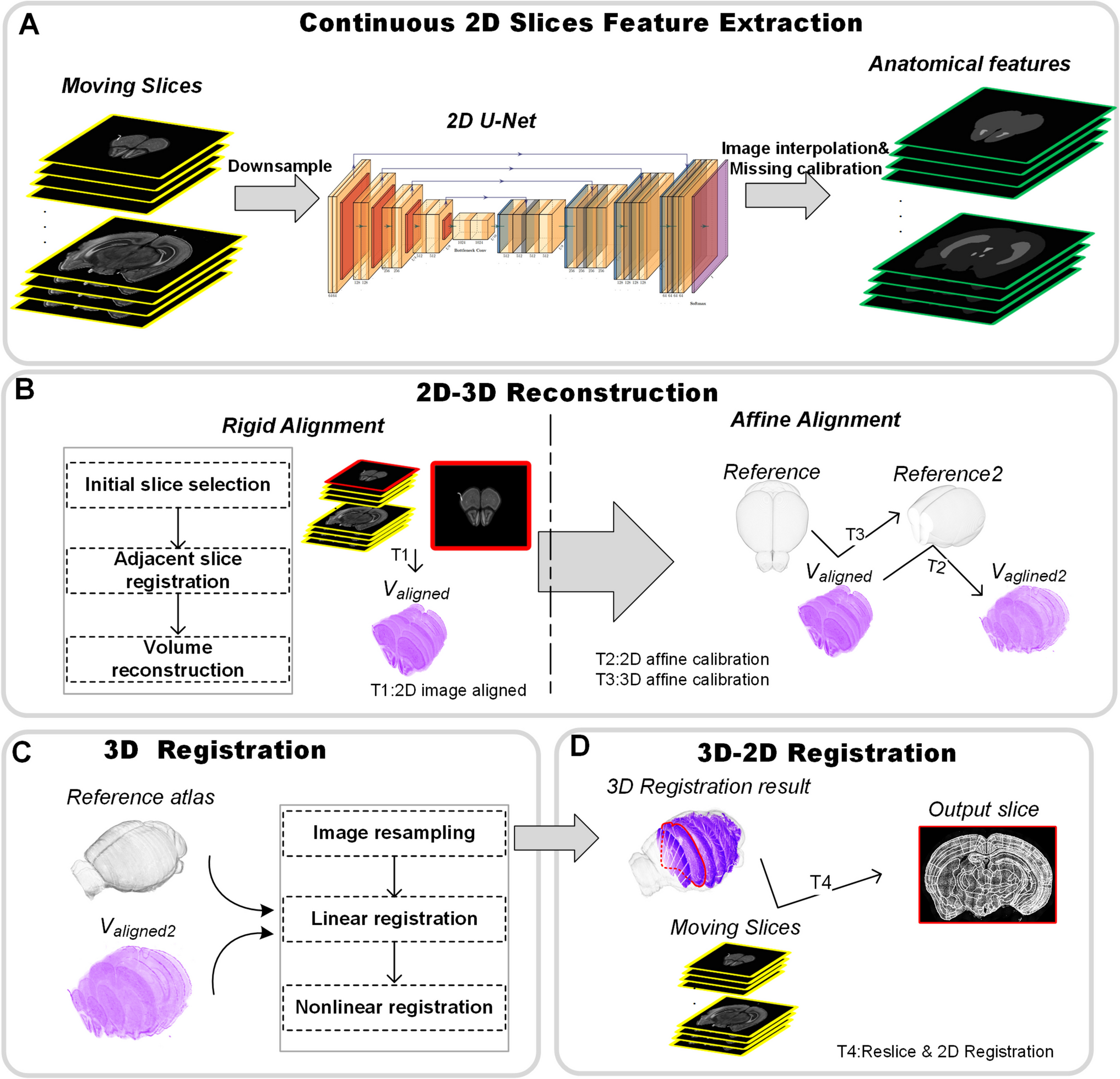 SlicesMapi: An Interactive Three-Dimensional Registration Method for Serial Histological Brain Slices