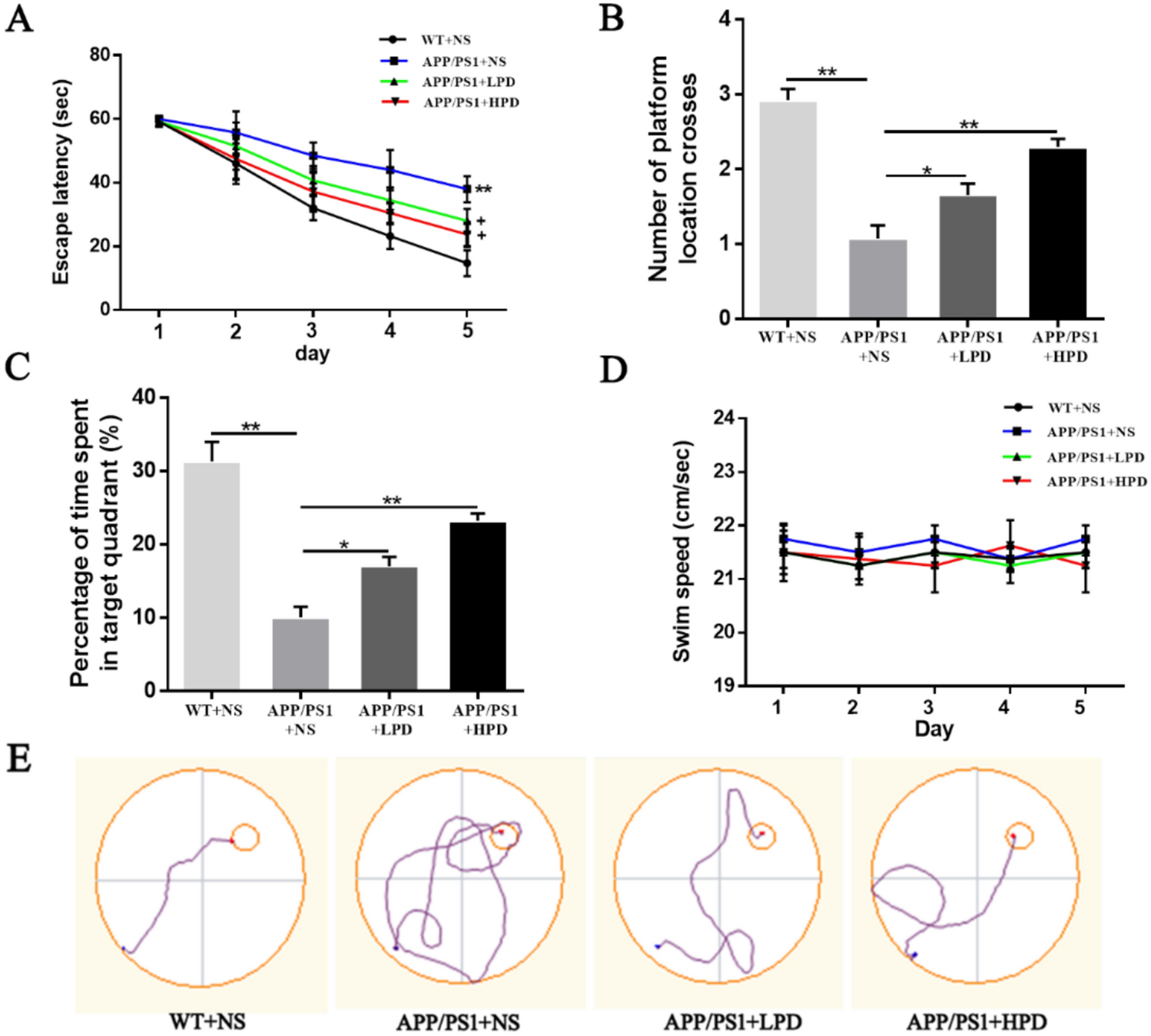 Platycodin D Attenuates Behavioral Deficits, Amyloid-β Accumulation and Mitochondrial Impairment in AD Models by Inhibiting the cGAS-STING Pathway