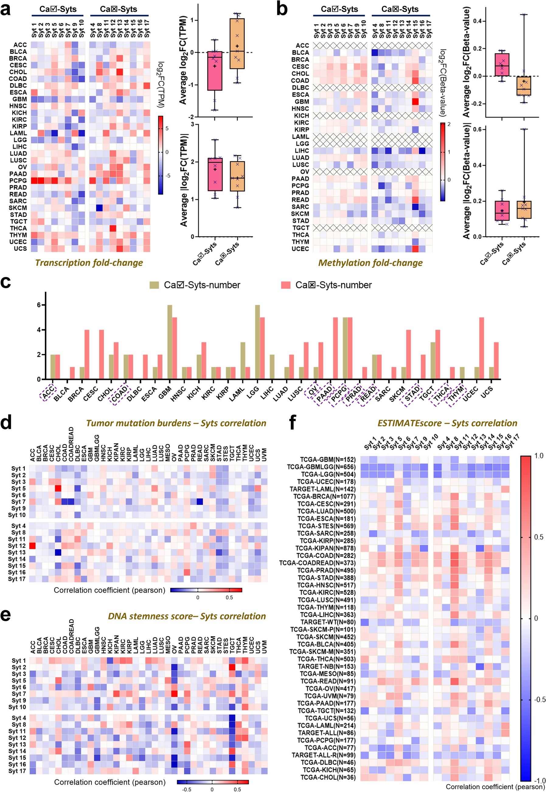 Ca-Affinitive and Non-Ca-Affinitive Synaptotagmins in Human Pan-cancer